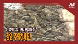 여름철 ‘비브리오패혈증’ 감염 주의하세요!｜230607 기사 이미지